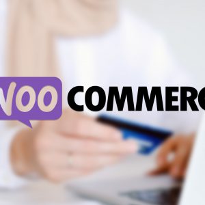 Stagnierende Umsätze bei Web Shops