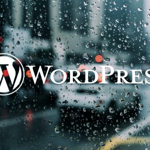 Wordpress nutzt Google Framework