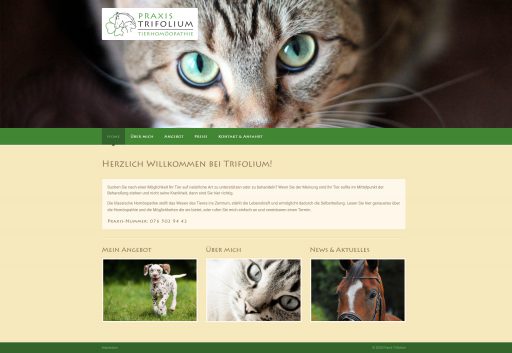 Webdesign Praxis Trifolium