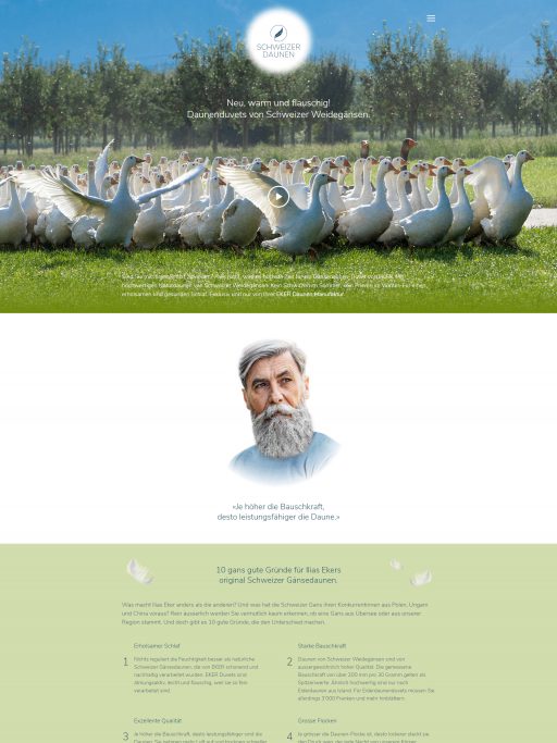 Webdesign Schweizer Daunen